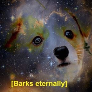 Meet your Posher, Enrique gabriel